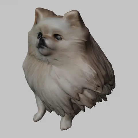 The High Detail Pomeranian GLB rendered in Blender 5.2 after import, with a readable face and layered fur