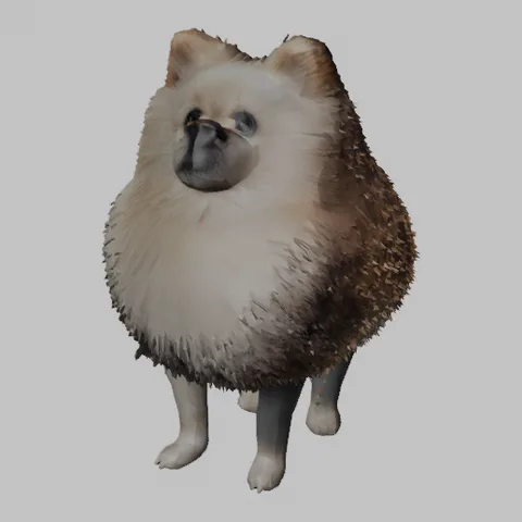 The Standard Pomeranian GLB rendered in Blender 5.2 after import, textured, with a flattened face