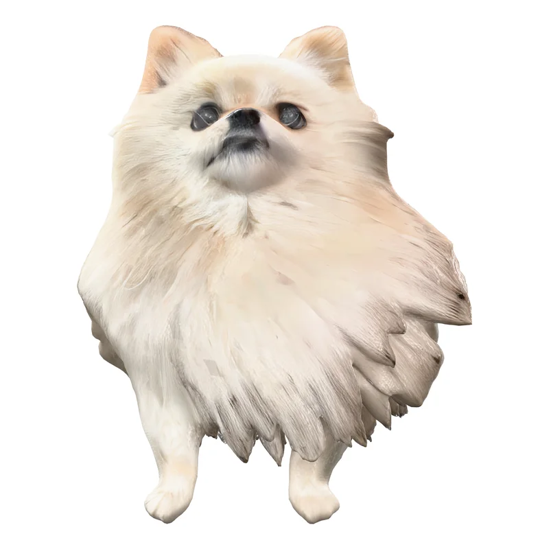 Pet, High Detail, one of the seven measured test files