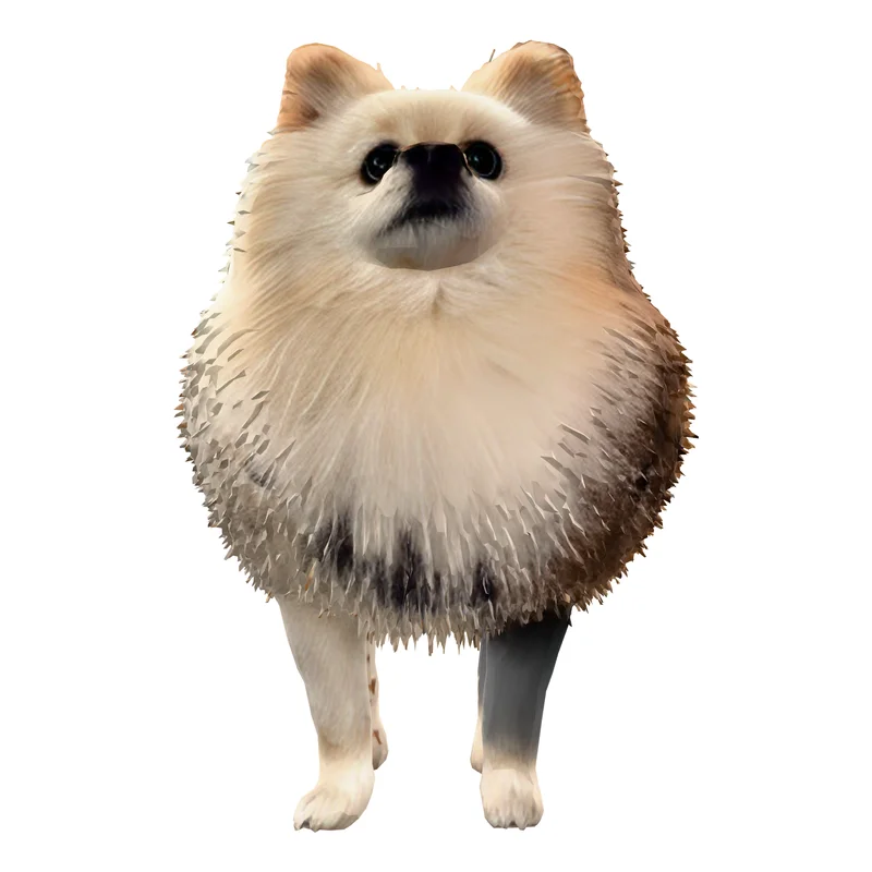 Pet, Standard, one of the seven measured test files